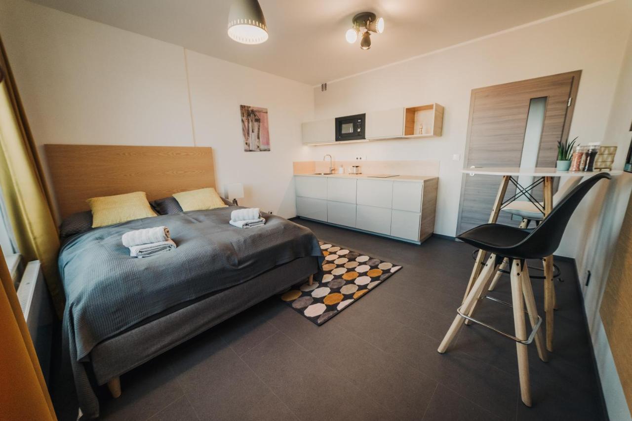 Appartement Beautiful New Studio, 400M From The Square à Plzeň Extérieur photo